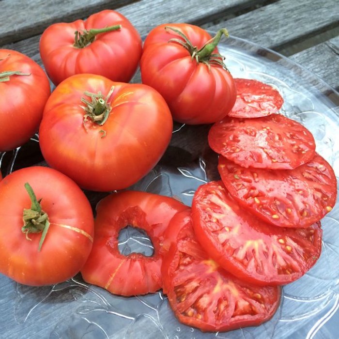 Простой способ, как вырастить томаты прямо дома