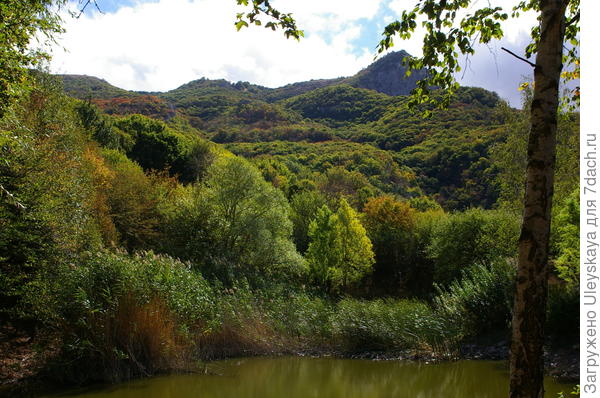 Красота осеннего крымского леса