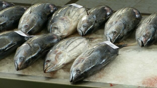 7 types of fish you should never buy