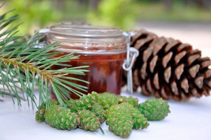 Unique folk recipe! It turns out that stroke is afraid of pine cones! 